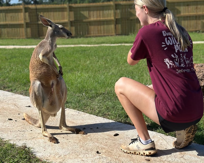 Private Guided Safari Tour in Jefferson