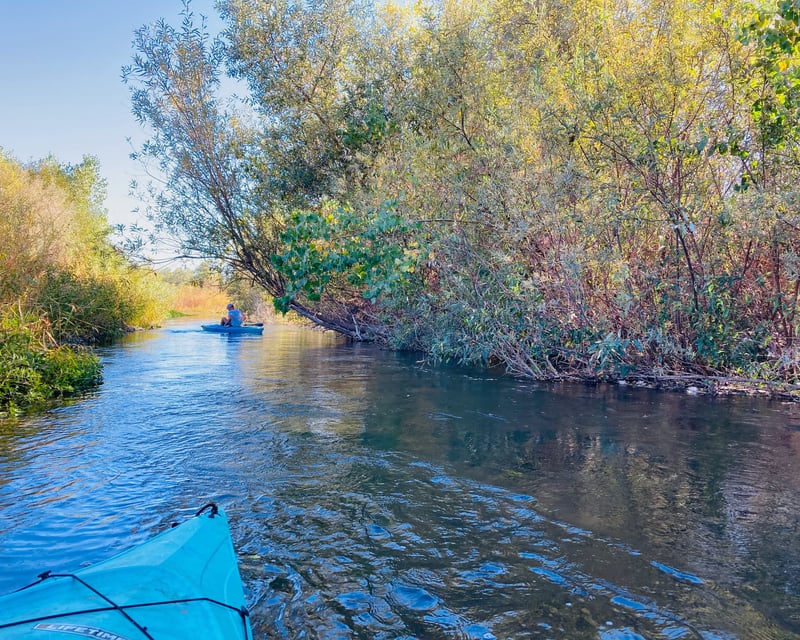 All-Day Guided Russian River Kayak Tour in Healdsburg