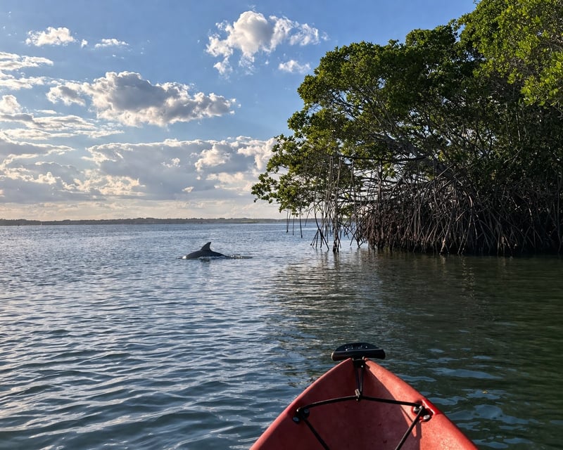 Dolphin & Manatee Kayak Tour in Sebastian Inlet State Park
