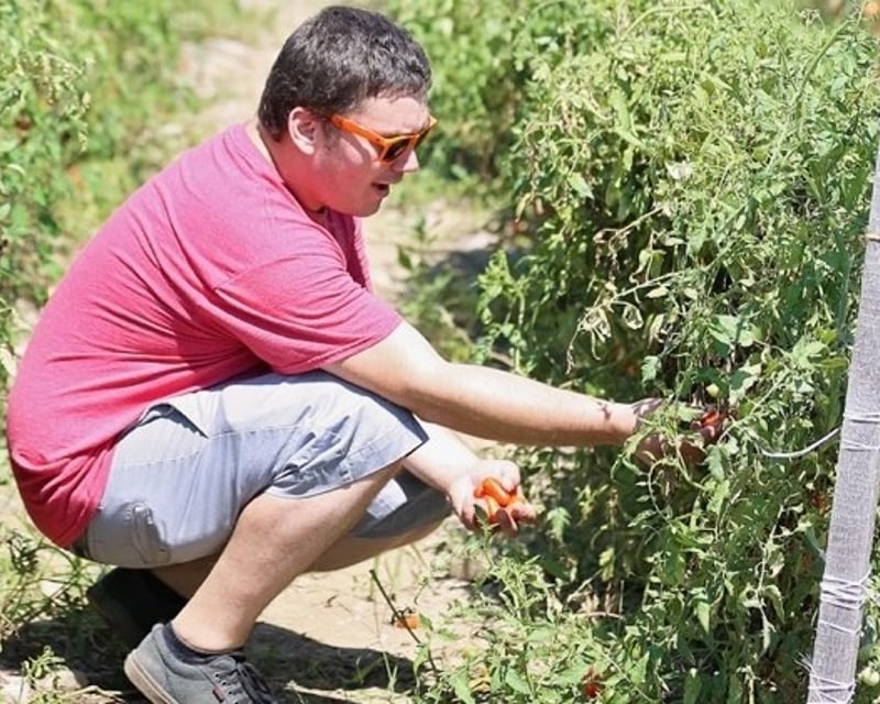 Pick-Your-Own Orchard & Farm Admission in Newburgh, NY