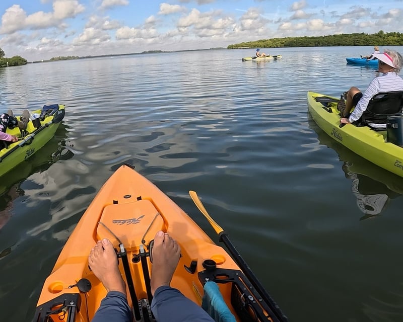 Guided Morning Kayak Tour in Vero Beach