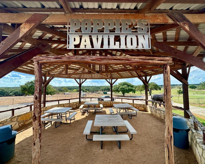 1 Hour 45-Minute Pavilion Rental in Johnson City