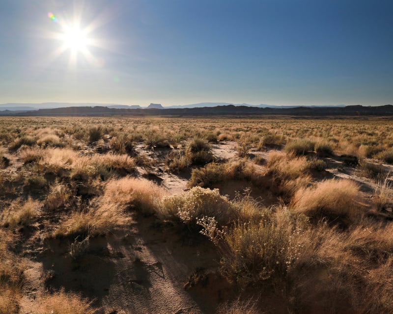 Hike the 10-Mile Crest Trail in Bisbee