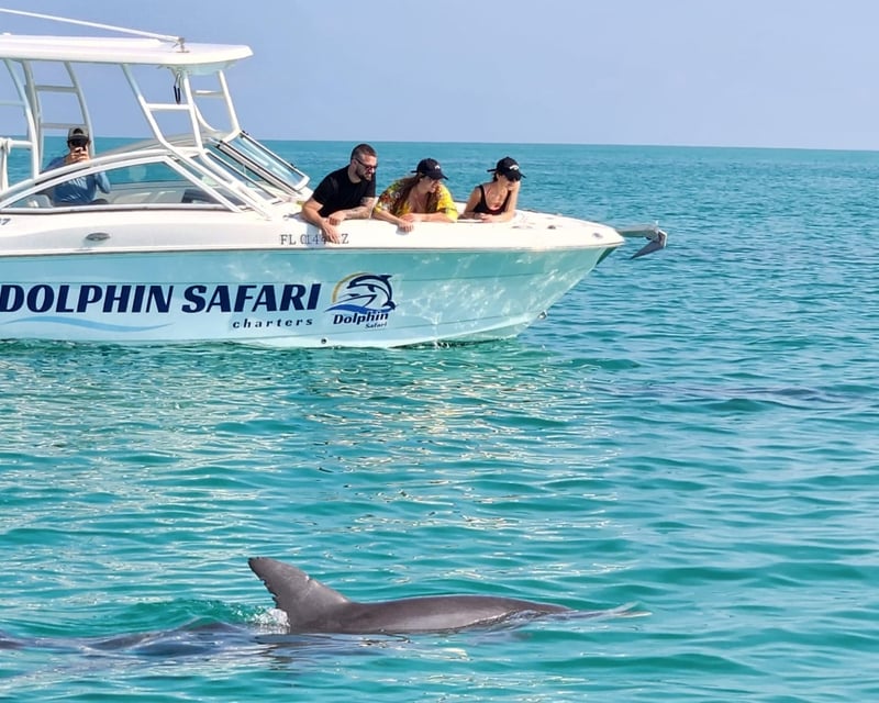 Key West Dolphin Watching, Snorkeling & Sandbar Tour