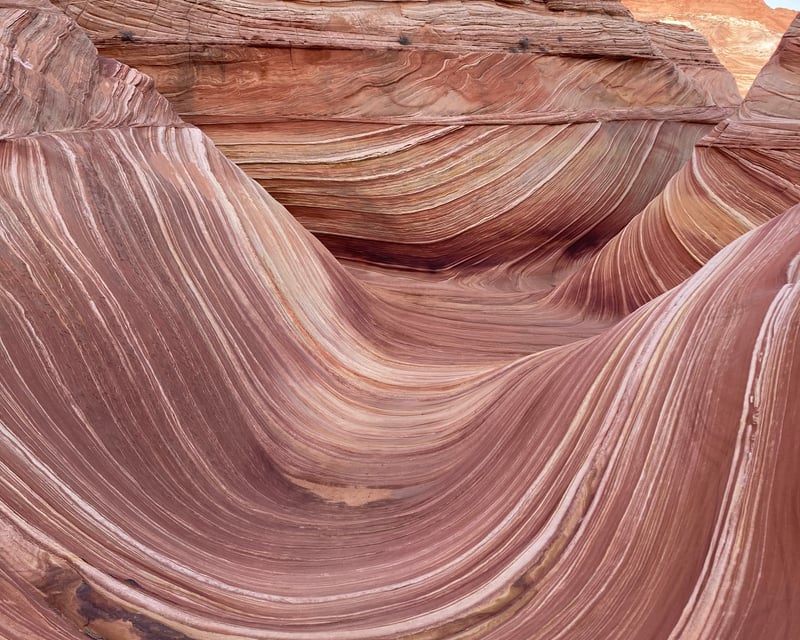 Ride a Private Shuttle to the Wave From Page