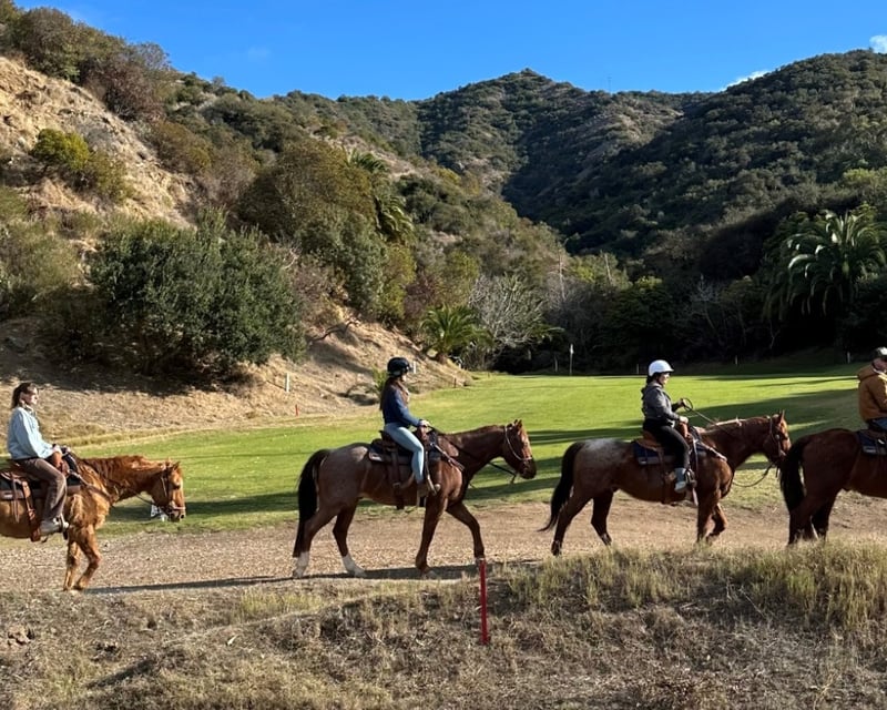 Catalina Island Horseback Ride with Ocean & Canyon Views