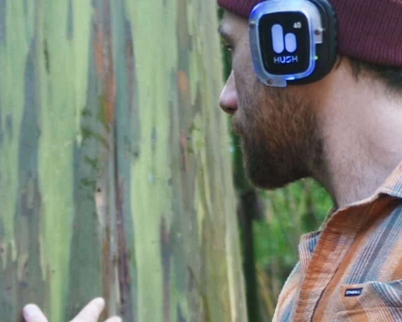 Silent Disco Meditation at Kona Cloud Forest Sanctuary