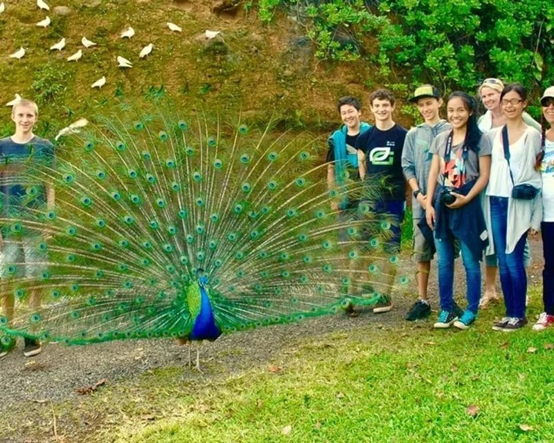 Botanical Garden Tour & Dove Blessing in Haiku, Maui