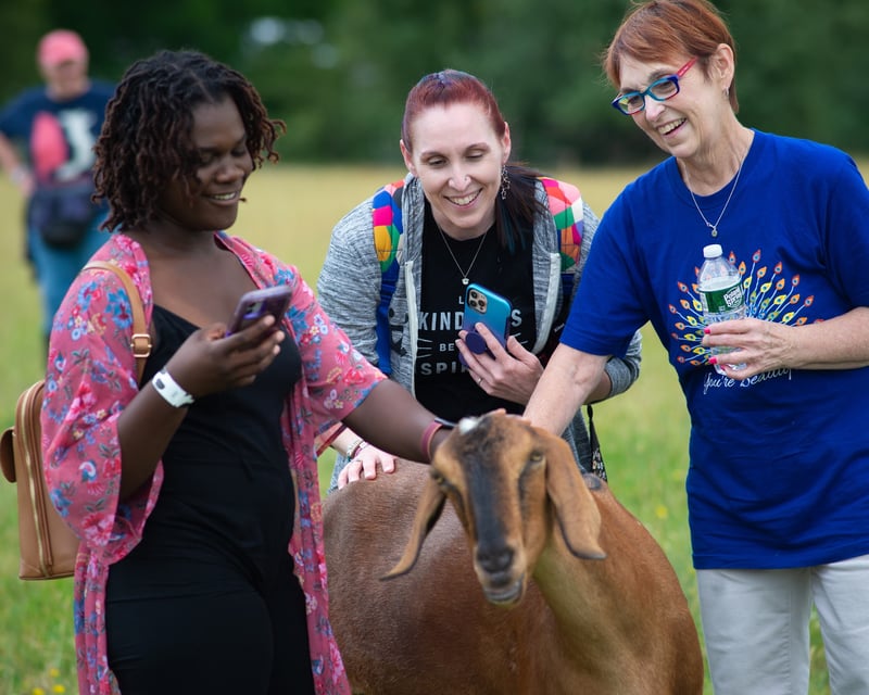 Meet Rescued Farm Animals on a Guided Tour in Watkins Glen