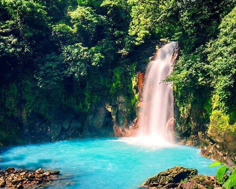 Río Celeste Waterfall Hike & Sloth Tour from Guanacaste