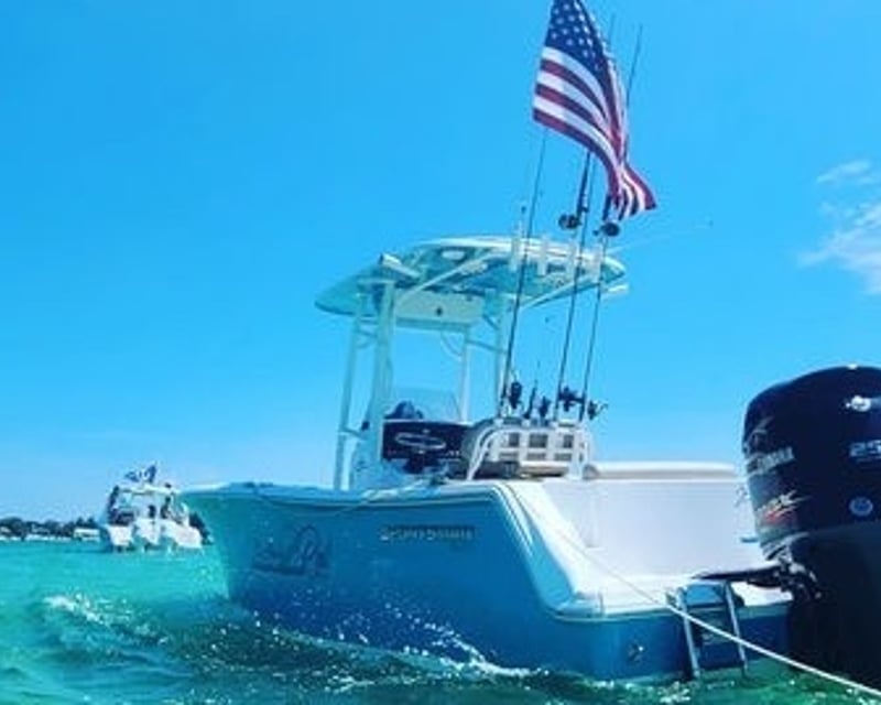Private Sandbar & Dolphin Boat Charter in Sarasota