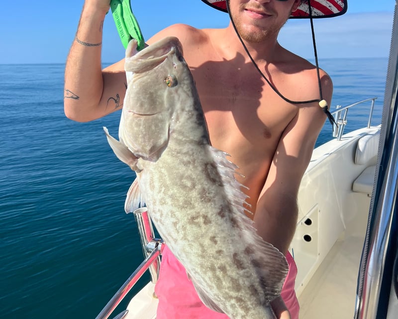8-Hour Guided Offshore Fishing Charter in SWFL