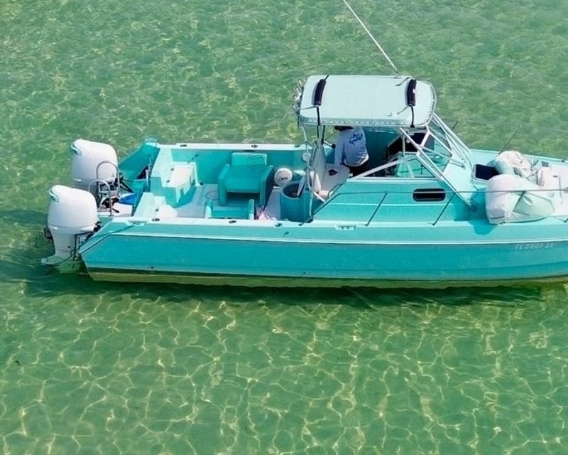 Dolphin & Snorkeling Charter in Destin