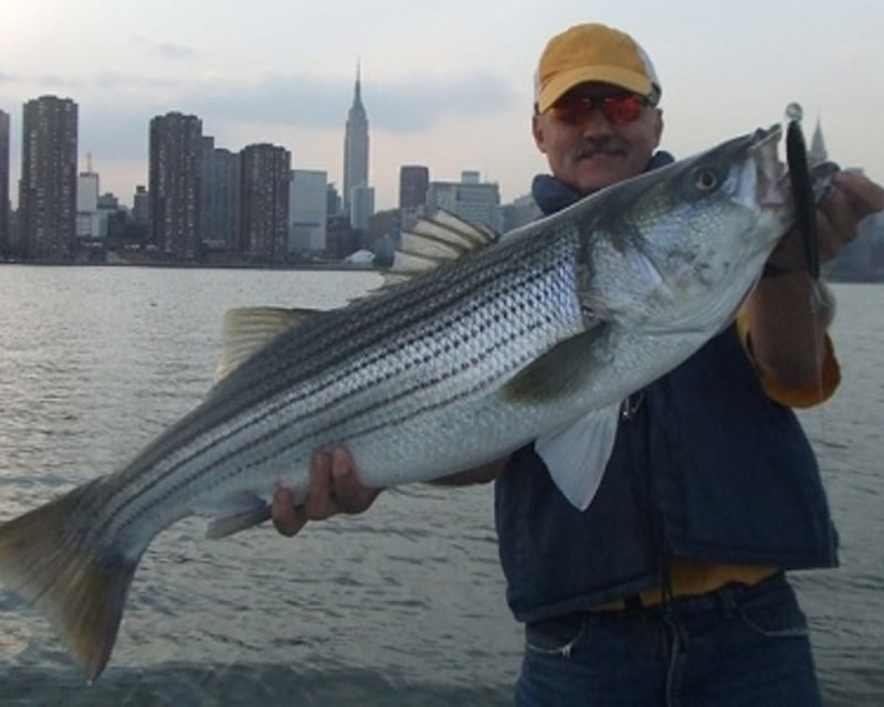 New York Harbor Fishing Charter with Statue of Liberty Views