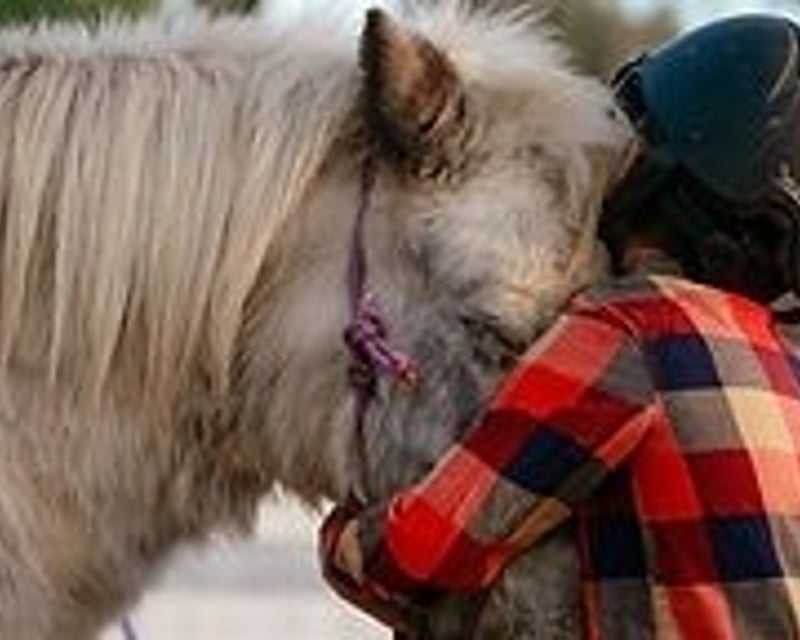 Pony Riding Lesson in Buellton