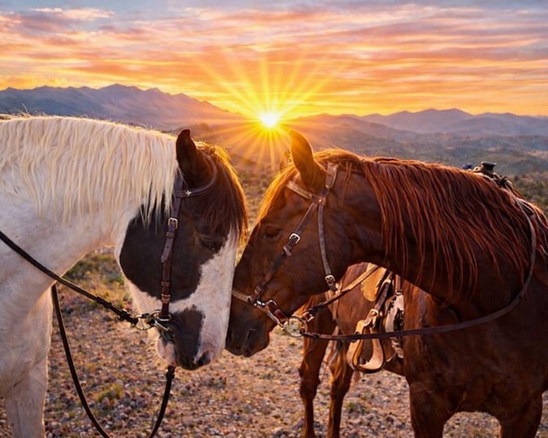 Sunset Ride in Los Cerrillos