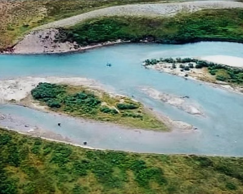1-Hour Scenic Flight to Grewingk Glacier From Homer