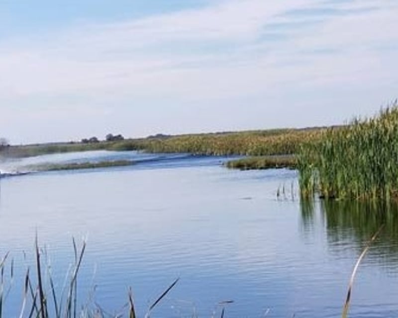 60-Minute Everglades Airboat Tour