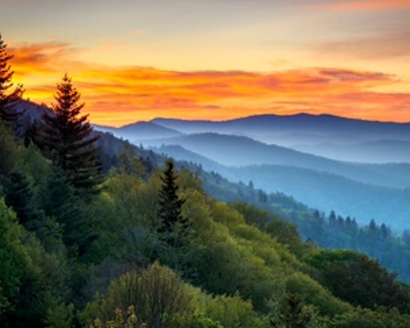 3-Hour UTV Rental in Pigeon Forge