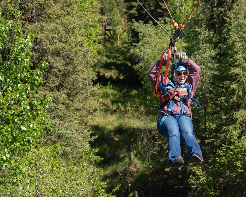 Denali Park Zipline Adventure