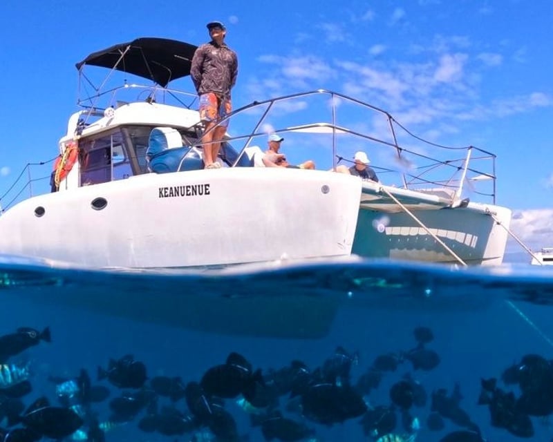 Semi-Private Waikiki Turtle Snorkel & Catamaran Cruise