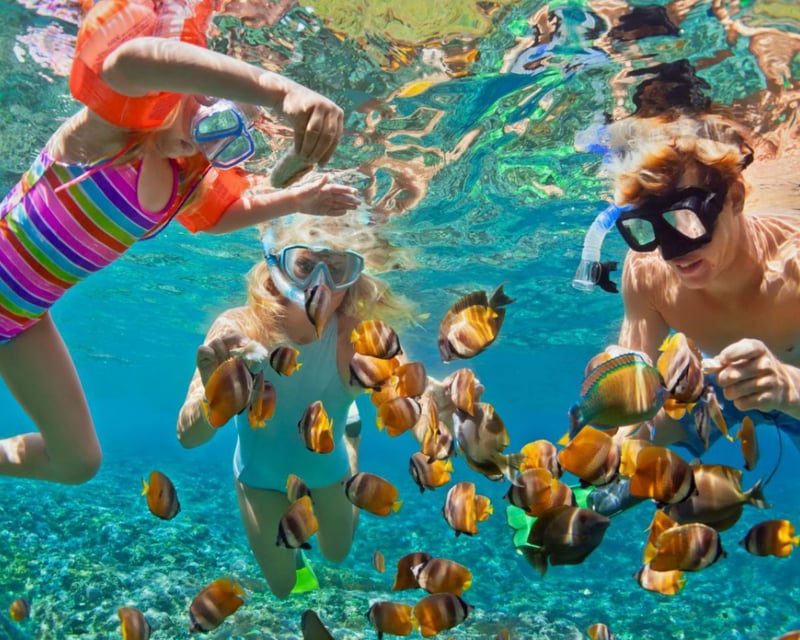 Full-Day Oahu Circle Island Tour & Turtle Snorkel