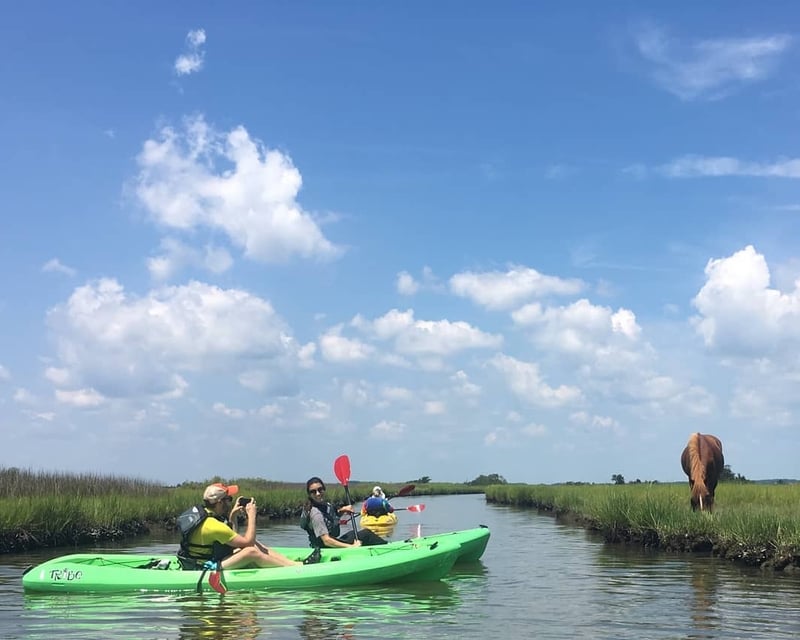4-Hour Kayak, Canoe & Paddleboard Rental at Bayside