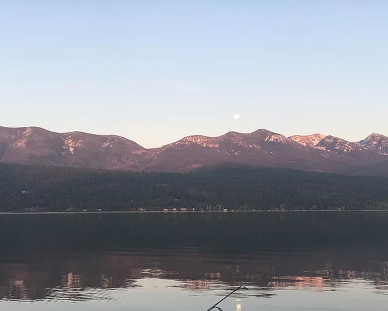 Wild Horse Island 4-Hour Boat Tour on Flathead Lake