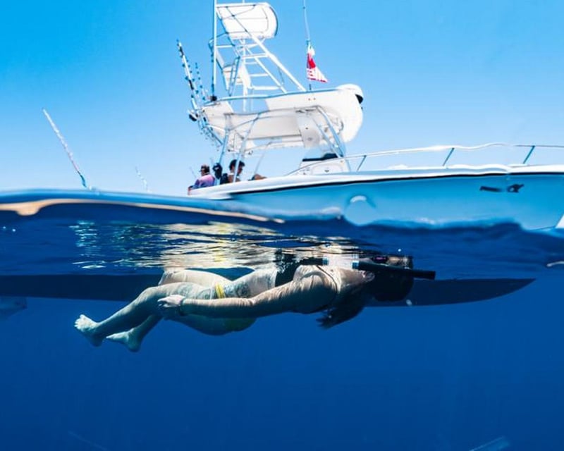 8-Hour Island Cruise in San José del Cabo