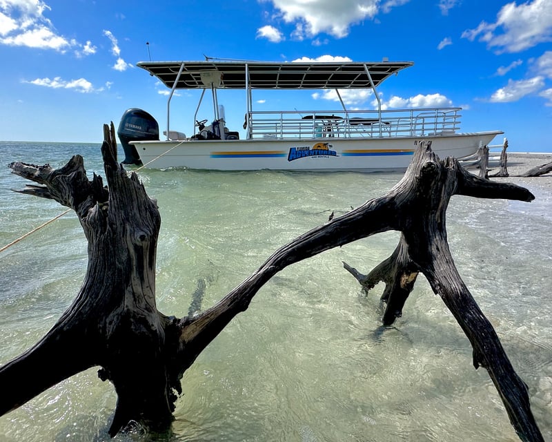 2-Hour Private Ten Thousand Islands Boat Tour