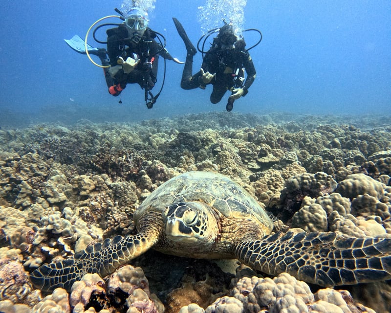 PADI Discover Scuba Dive for Beginners in Waikiki
