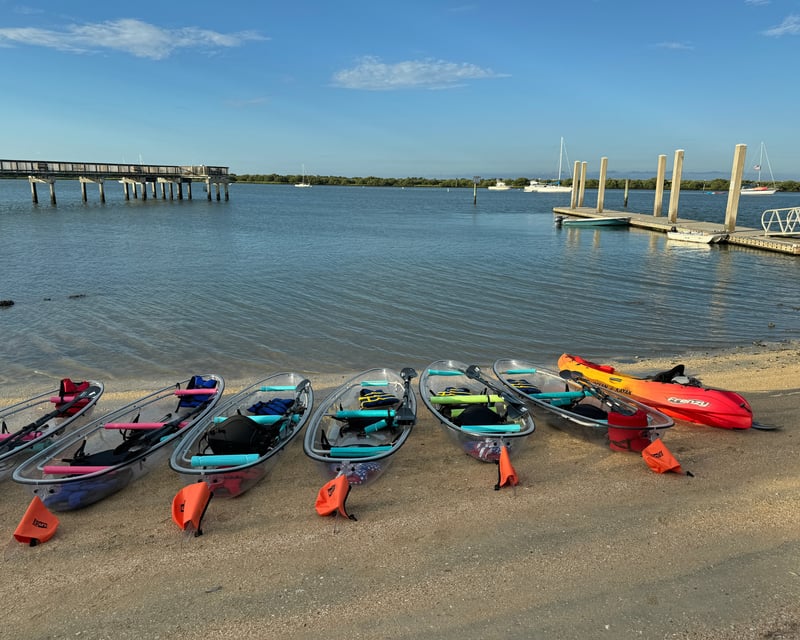 St. Augustine Dolphins and Wildlife Clear Kayak Tour
