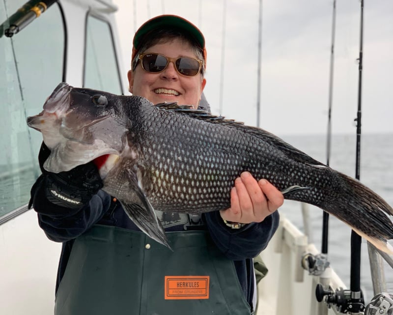 Offshore Sea Bass Fishing Trip in Wildwood