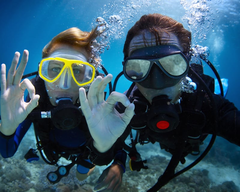 Wreck & Reef Scuba Diving Tour in Oahu