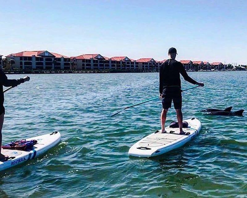 Dolphin Paddleboard & Kayak Tour in New Smyrna Beach