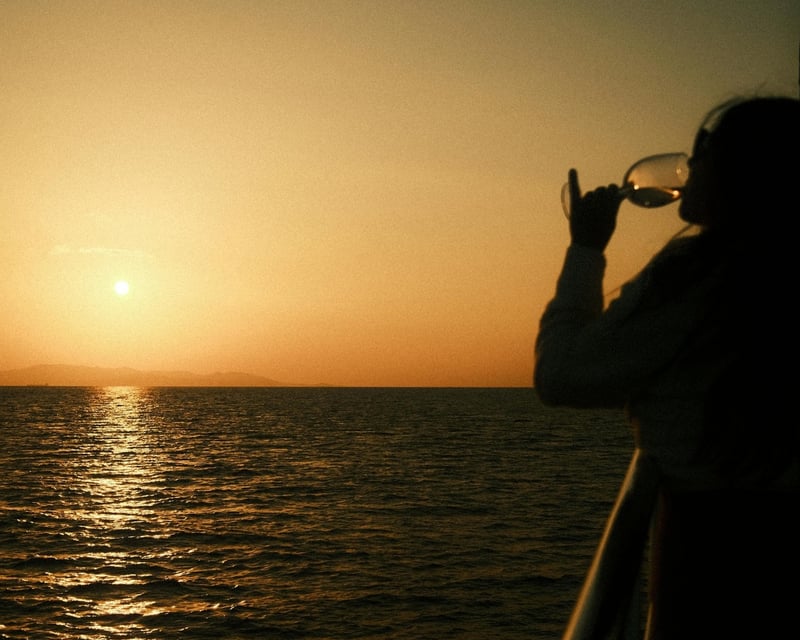 Sarasota Sunset Tiki Boat Cruise
