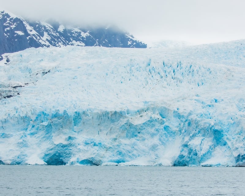 Kenai Fjords Wildlife Charter