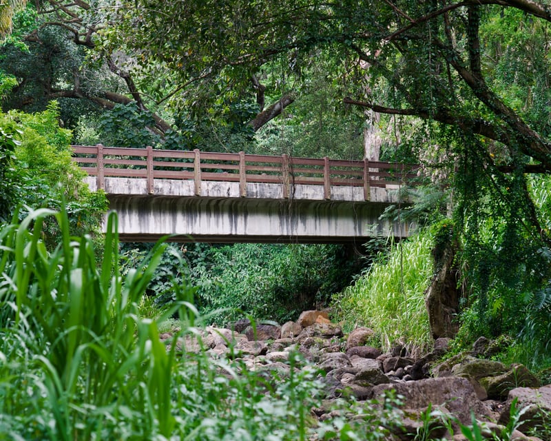 Private Full-Day Custom Oʻahu Island Tour