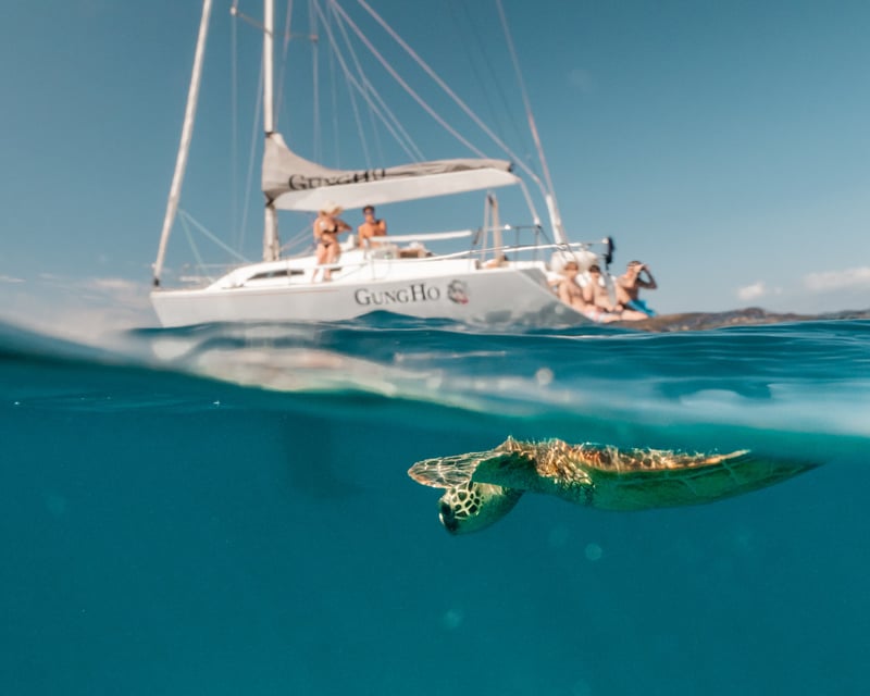 Private Snorkel & Sail Charter in Lahaina, Maui