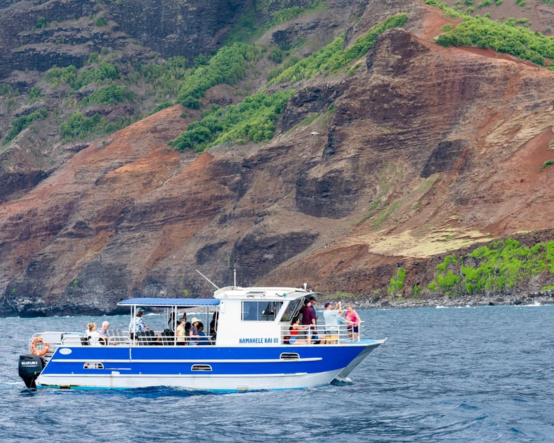 Na Pali Coast Afternoon Catamaran Tour from Hanalei