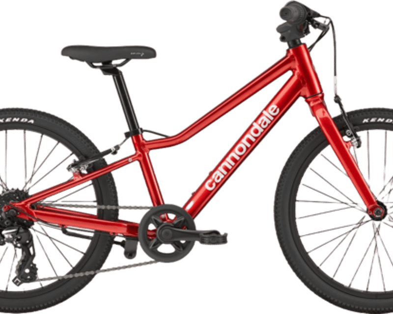 Kids' 24" Mountain Bike Rental in Holland, MI