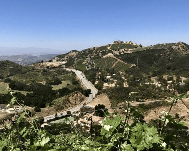 Malibu Wine Tasting Day Tour