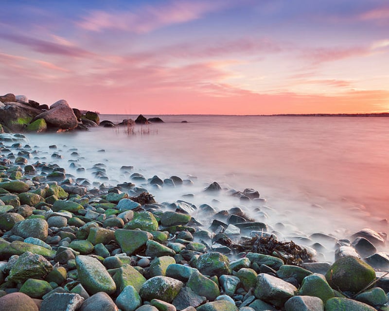 17-Mile Drive Bus Tour from Los Angeles to San Francisco
