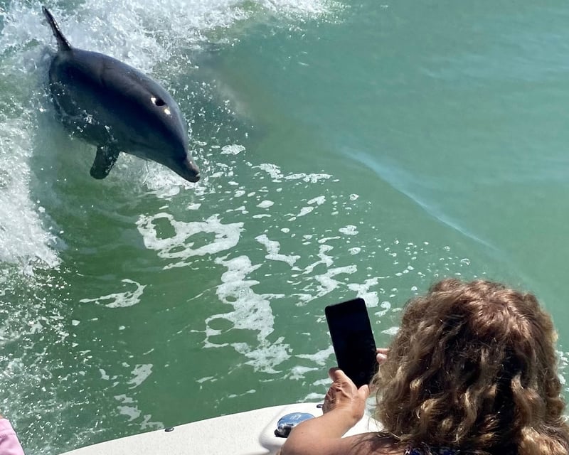 Private Dolphin & Shelling Boat Tour from Marco Island