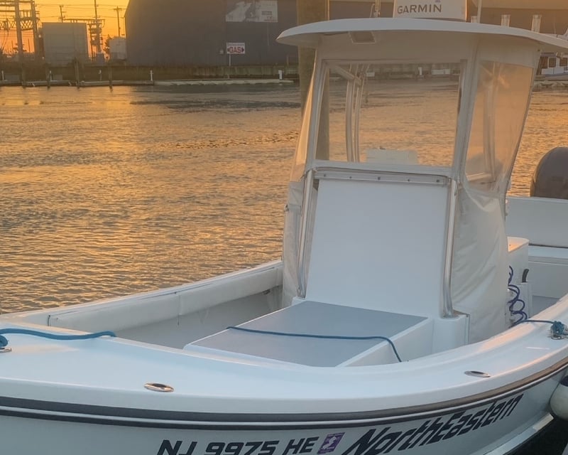 Sea Bass Fishing Charter in Sea Isle City