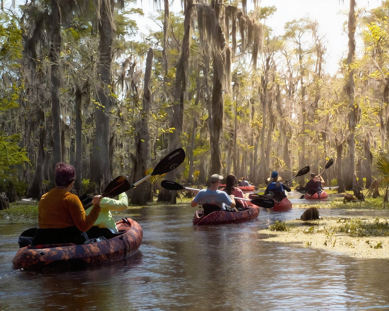 3-Hour Guided Manchac Swamp Kayak Tour