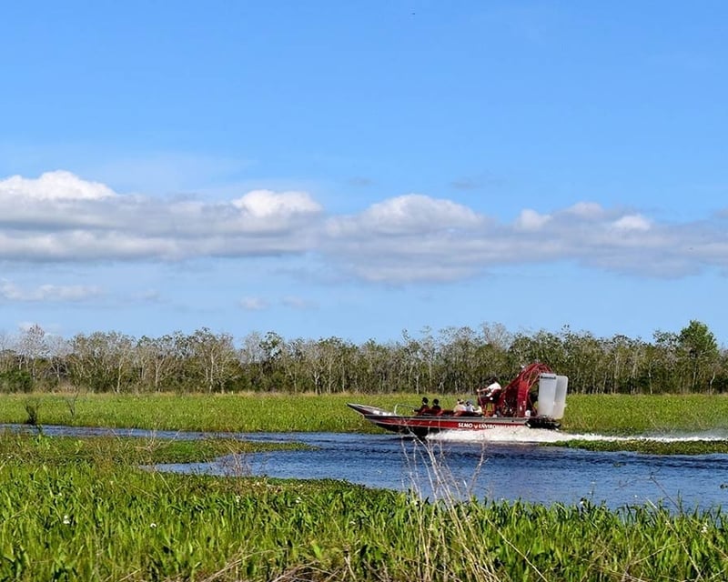 Cajun-Guided Swamp Boat Tour Near New Orleans