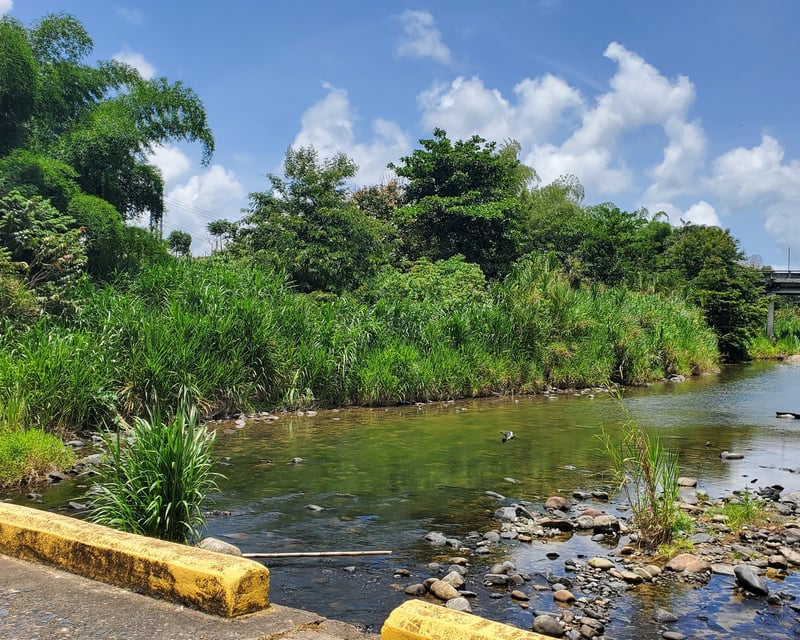 Private Historic Walking Tour of San Lorenzo, Puerto Rico