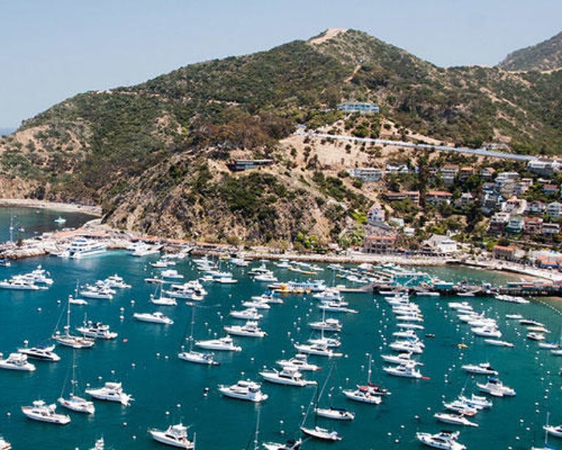 Catalina Island Day Trip With Anaheim & LAX Hotel Pickup