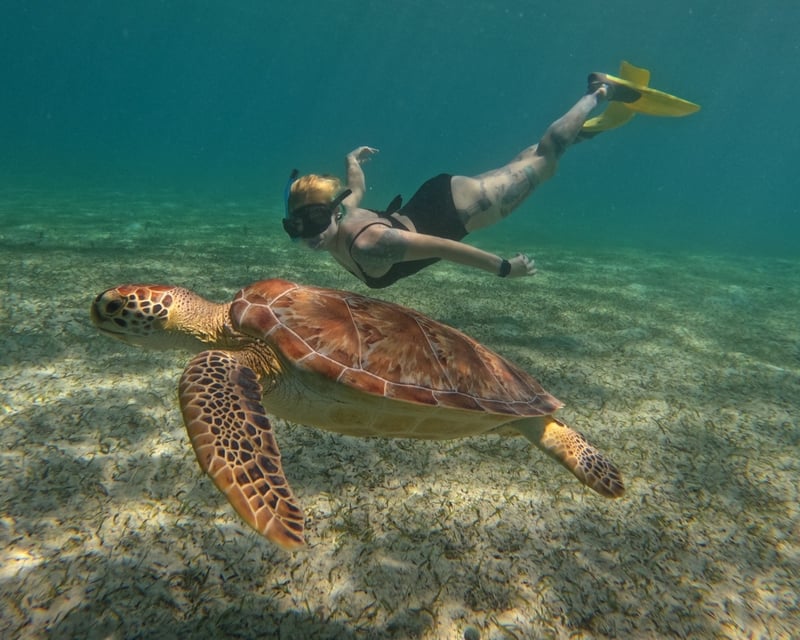 Culebra Day Trip & Flamenco Beach Snorkel from San Juan